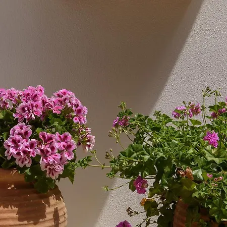 Apartahotel Nikos 3*